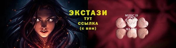 индика Вязьма