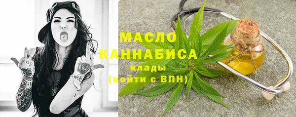 индика Вязьма