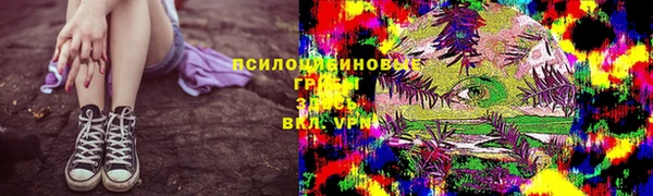 индика Вязьма