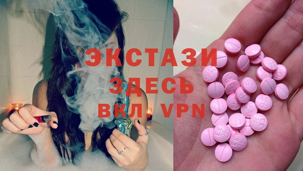 индика Вязьма