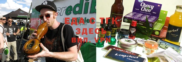 индика Вязьма