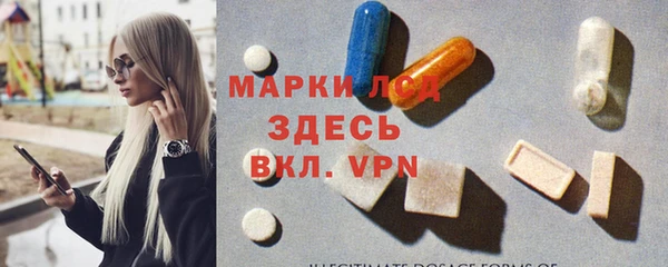 индика Вязьма