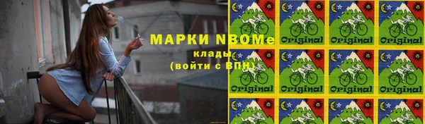 индика Вязьма