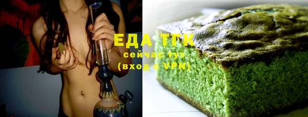 индика Вязьма