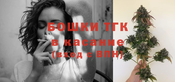 индика Вязьма