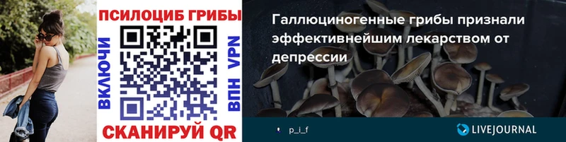 Купить  Куйбышев  Псилоцибиновые грибы прущие грибы 