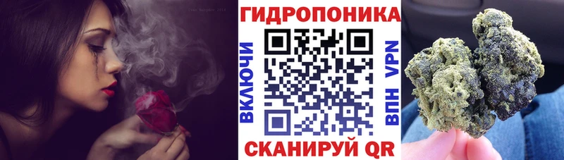 Бошки марихуана AK-47  Купить закладки  Куйбышев 